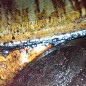 Вольво ХС60