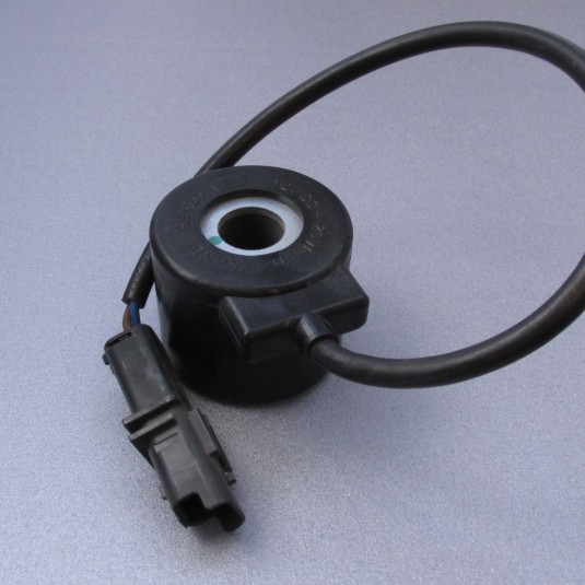 Катушка TN1/B NG2-2 12v/20w с проводом и фишкой наружная